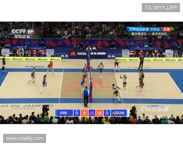 体育篮球有几个级别联赛（篮球分几个级别）sports